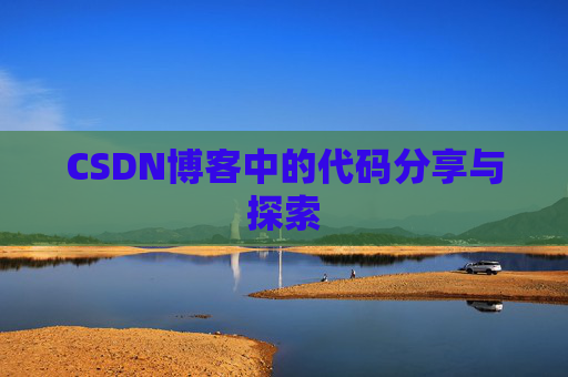 CSDN博客中的代码分享与探索